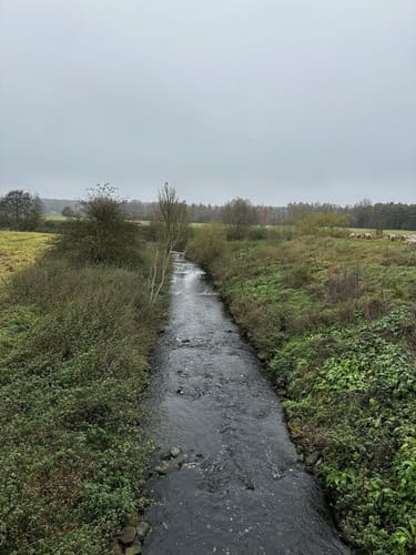 Rund um den Stausee Hengsen