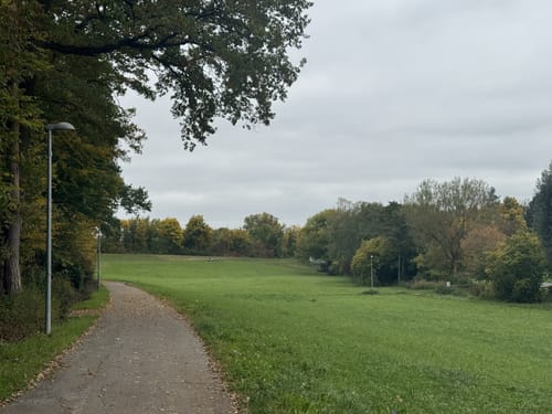 Durch den Sindelfinger Stadtwald