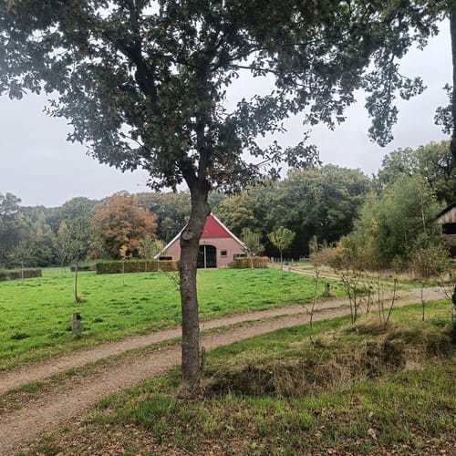 Scholtenpad Dagwandeling A: Door het Korenburgerveen