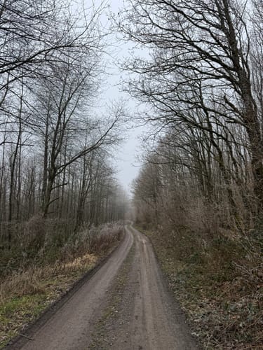 Von Bullay nach Grenderich