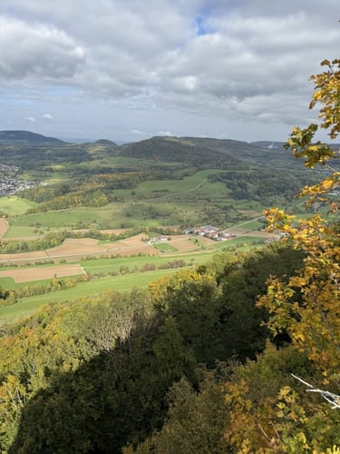 Löwenpfad Messelbergtour (traumtour)