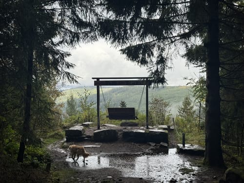 Kaltenbronn Rundweg 1