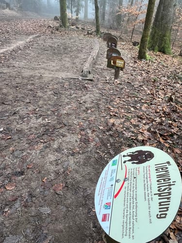 Weiskircher Wildkatzenpfad (Traumschleifchen)