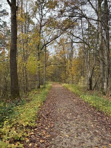 Große Runde bei Lauf an der Pegnitz