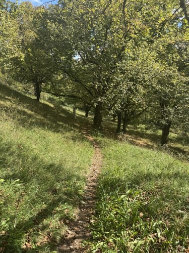 Adolf-Hackner-Weg Greding
