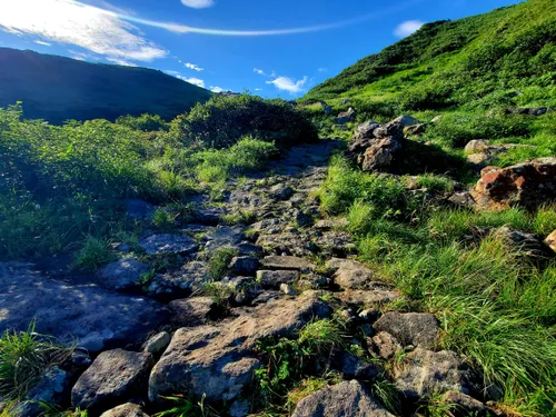 白糸の滝 - hikes and trails to get you there | AllTrails