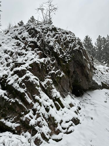 Tharandter Wald Wanderung