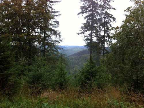 Über die Berge und entlag der Zorge