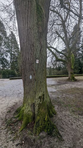 Lahnwanderweg Etappe 12: Braunfels - Weilburg