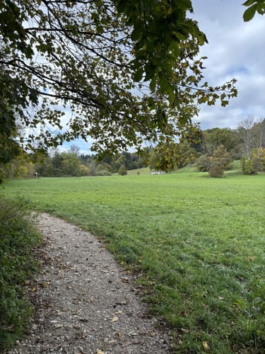 Maisinger Schlucht Rundweg