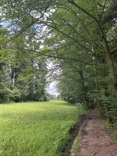 Wasser-, Wald- und Wiesenpfad (Premiumwanderweg)