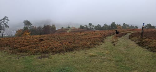 Rothaarsteig Spur Blick-ins-Land Kahle Pön