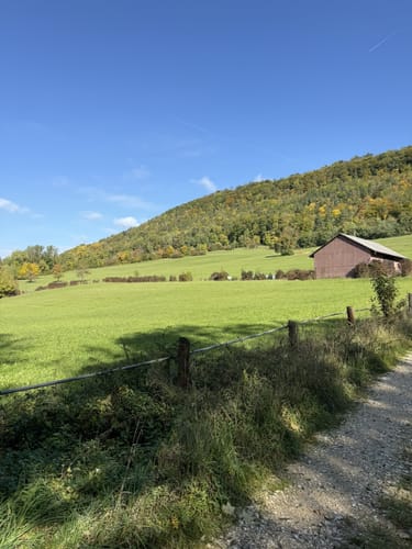 Löwenpfad Messelbergtour (traumtour)