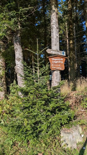 Harmersbacher Vesperweg (Genießerpfad)