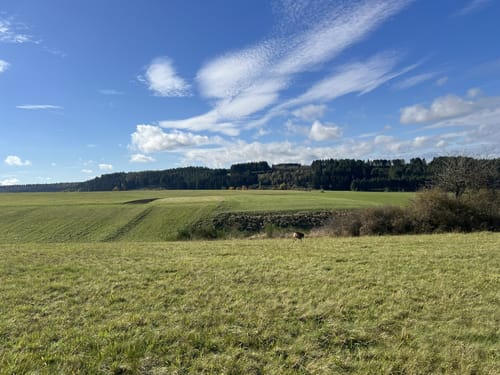 HeimatSpur: Lavaweg Deudesfeld