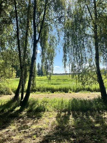 Historischer Rundweg Raddusch