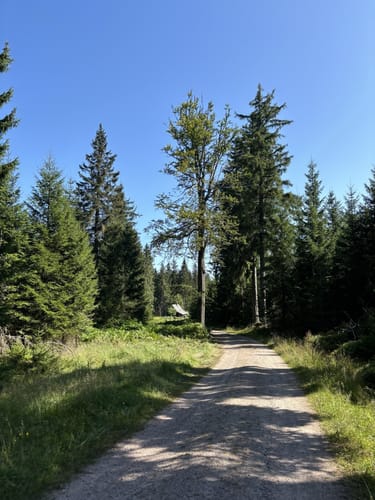 Kaltenbronn Rundweg 1