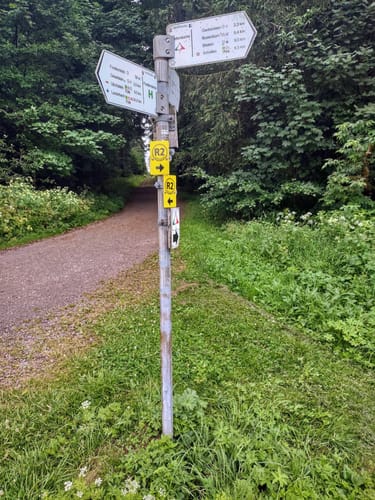 GipfelTour Schotten (Premiumwanderweg)