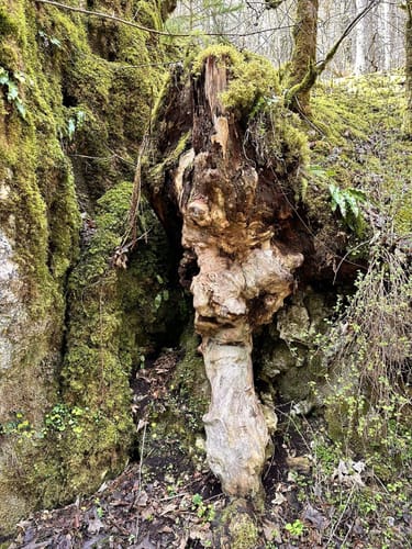 HOCHGEHBERGE I "hochgehschätzt" (Premiumwanderweg)