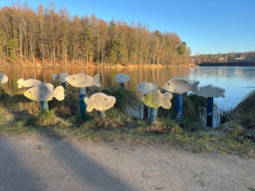 Rund um den Hammersee