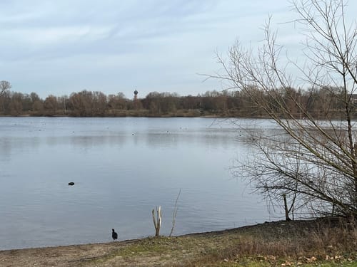 Rund um den Töppersee