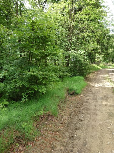 Höhenflug-Rundtour durch´s Sorpetal