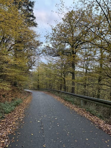Panorama-Weg Eppstein