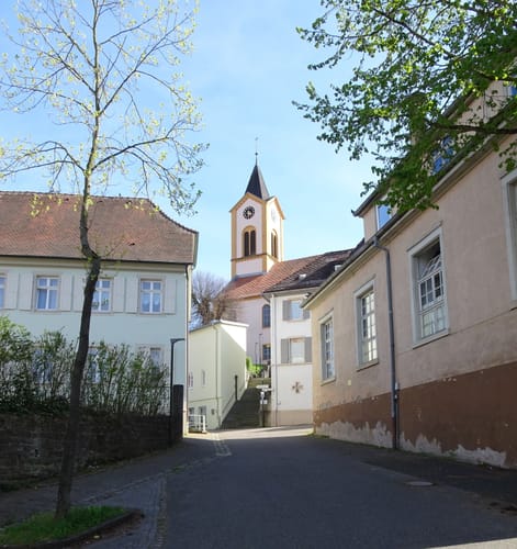 MTB: Funkturm Dühren und Steinsberg