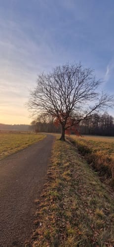 Ramsteinrunde