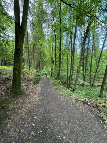 Tannenberg und Märchenteich ab Seeheim-Jugenheim