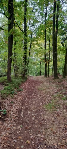 Berggiehubel -  Gersdorfer Ruine Rundweg
