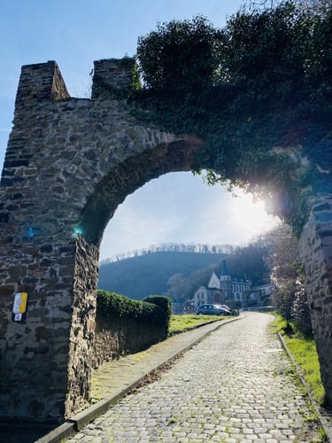 RheinBurgenWeg Etappe 3: Bad Breisig - Andernach
