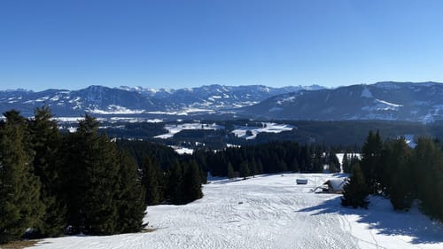 Alpkönigsblick