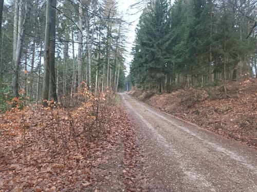 Egestorf am Deister - Teufelssprung Rundwanderung