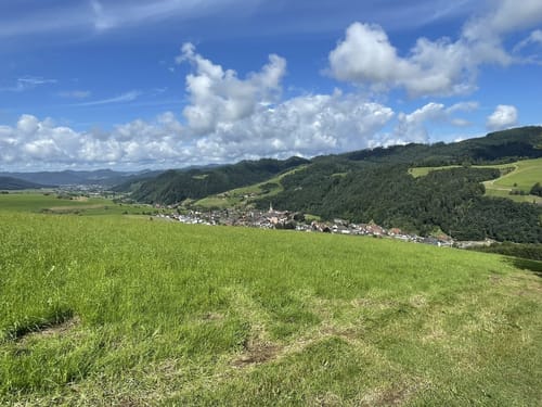 Harmersbacher Vesperweg (Genießerpfad)