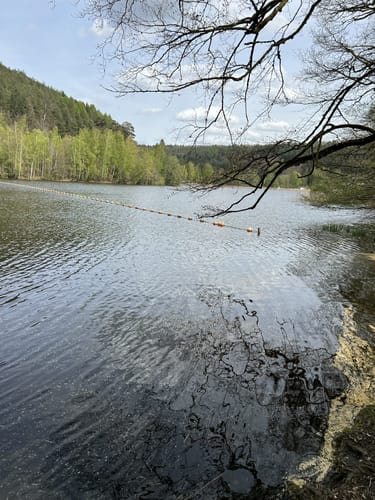Um die Gelterswoog