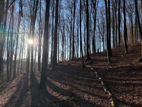 Münchweiler an der Rodalb Höhenwanderweg
