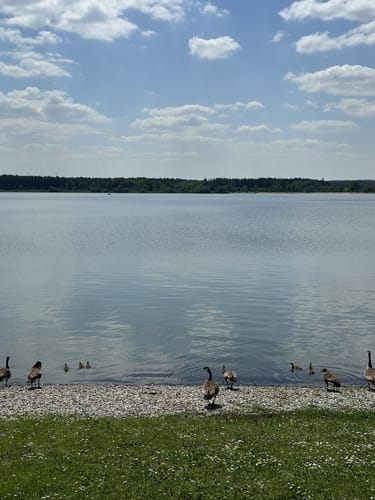 Altmühlsee Rundweg