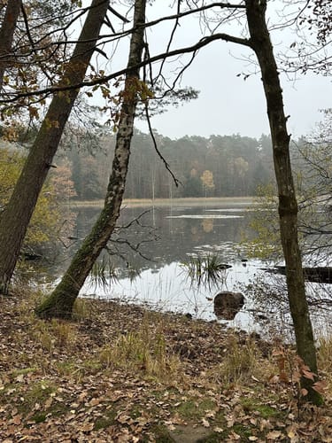 Lindlkopf und Mühlberg 
