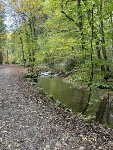 Maisinger Schlucht Rundweg