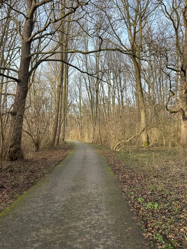 Rund ums Tüdderner Fenn