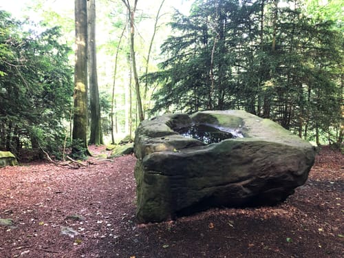 Nordmannsturm und Alte Taufe ab Nienstedt