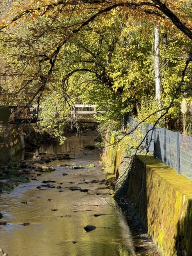 Maisinger Schlucht Rundweg