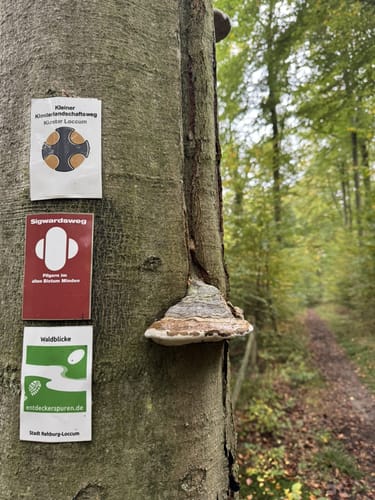 Pilgerweg Loccum-Volkenroda Etappe 1: Loccum - Stadthagen