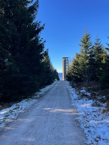Von der Zuflucht zum Buchkopfturm und zur Renchtalhütte