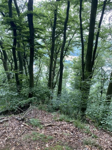 Hickenstein Rundwanderweg A4