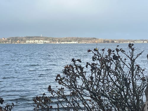Kitzeberger Wald
