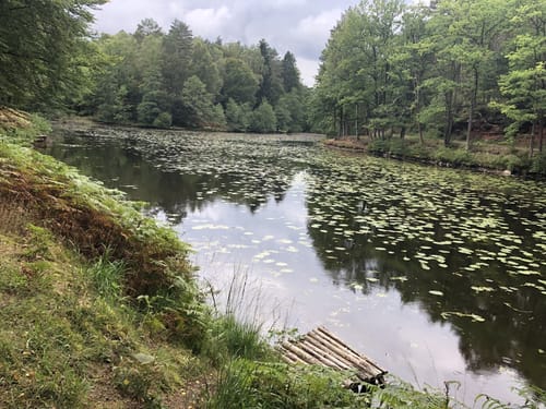 Eppenbrunner Rundweg zum Teufelstisch, Hohlen Felsen und dem Eulenfels