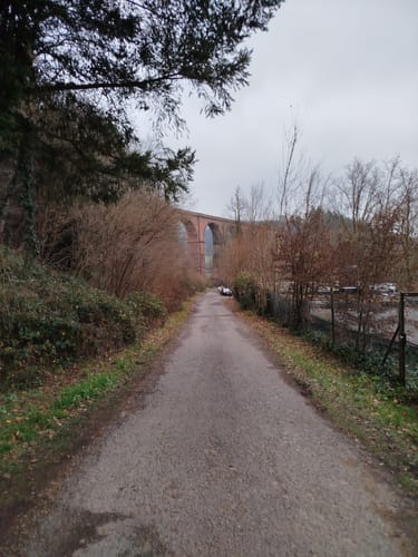Rundwanderweg Erbach 9