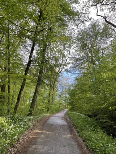 Bebenhausen - Goldersbachtal - Wildgehege